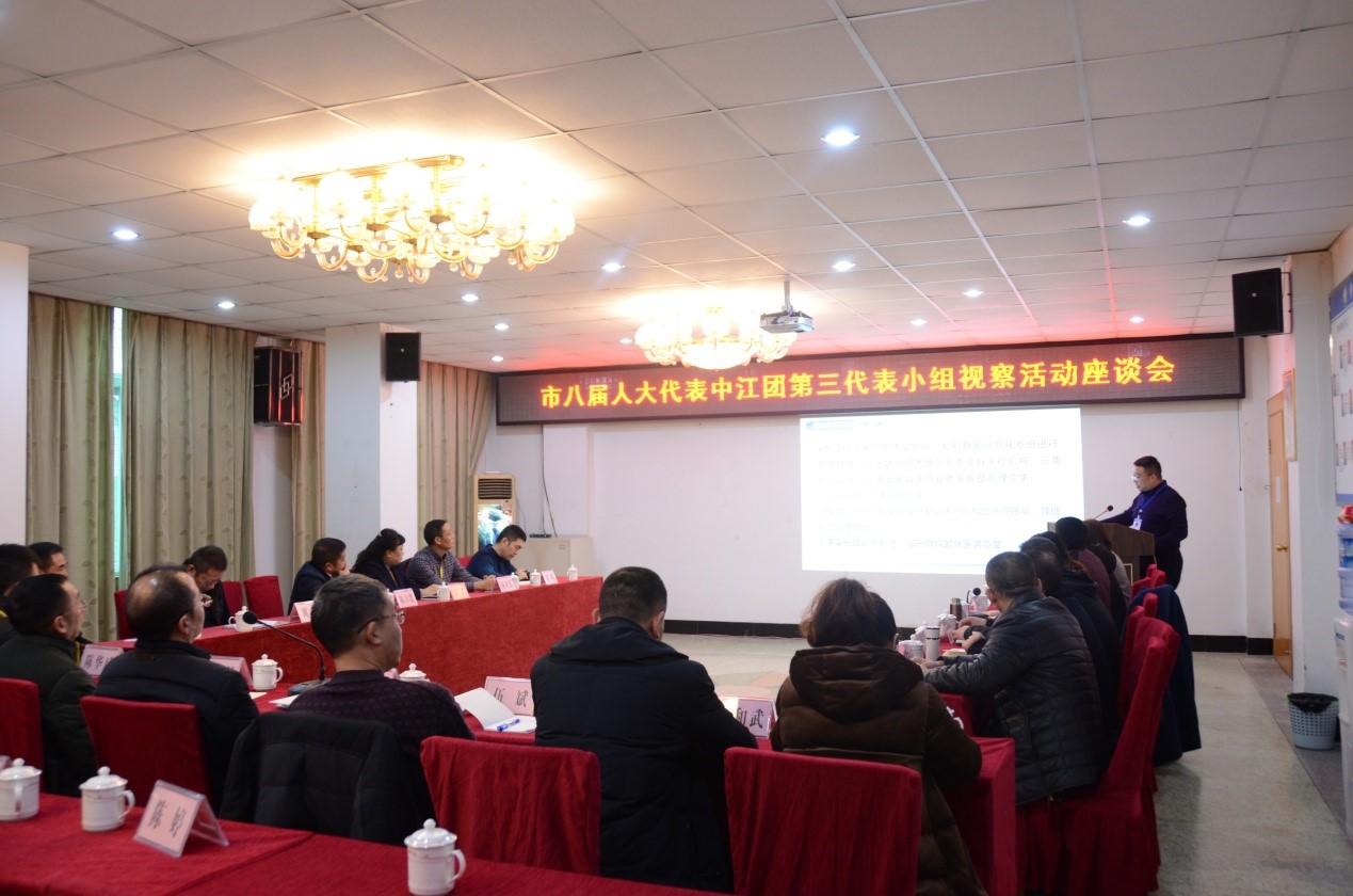 市人大代表中江代表团第三小组2.jpg