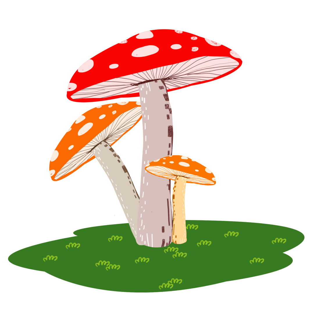 1657071706436092358.png