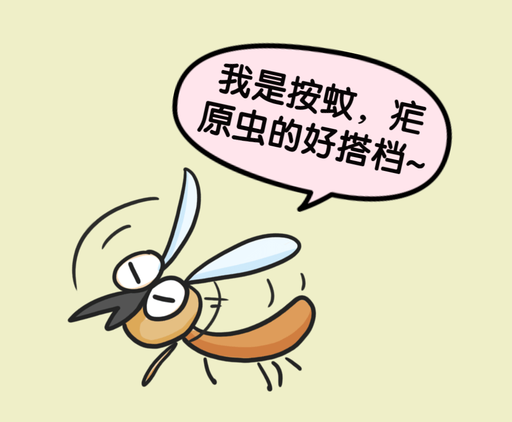 1699230690534082581.png