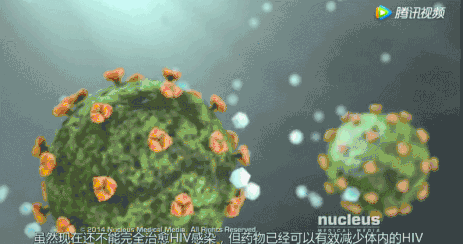 image5.gif