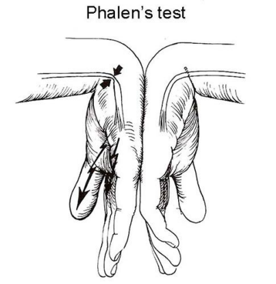 image3.png